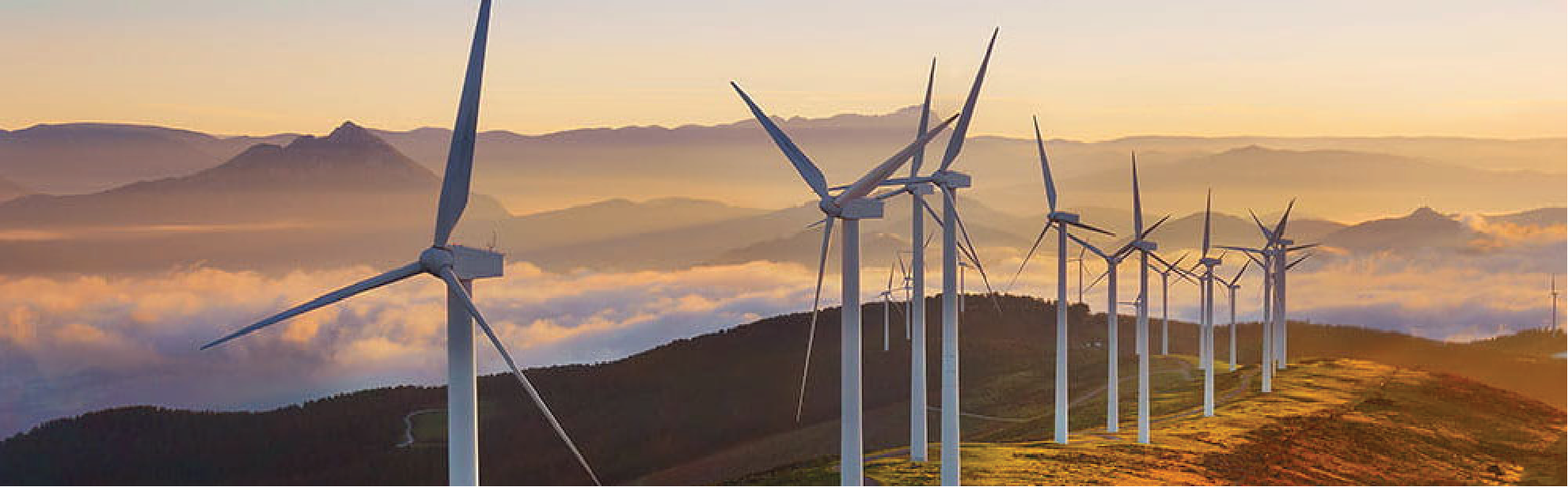 wind1 – Bonfiglioli Vietnam